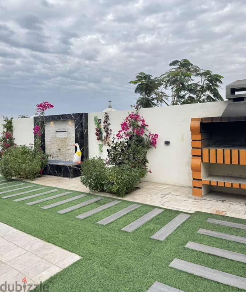 Garden path with fountain and barbecue